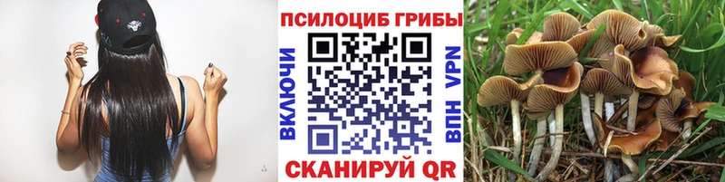 Псилоцибиновые грибы ЛСД как найти Оленегорск